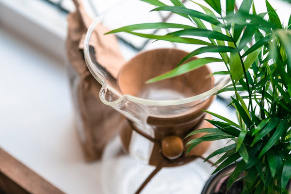 How to Use a Clear Acrylic Plant Pot for a Modern Boho Look