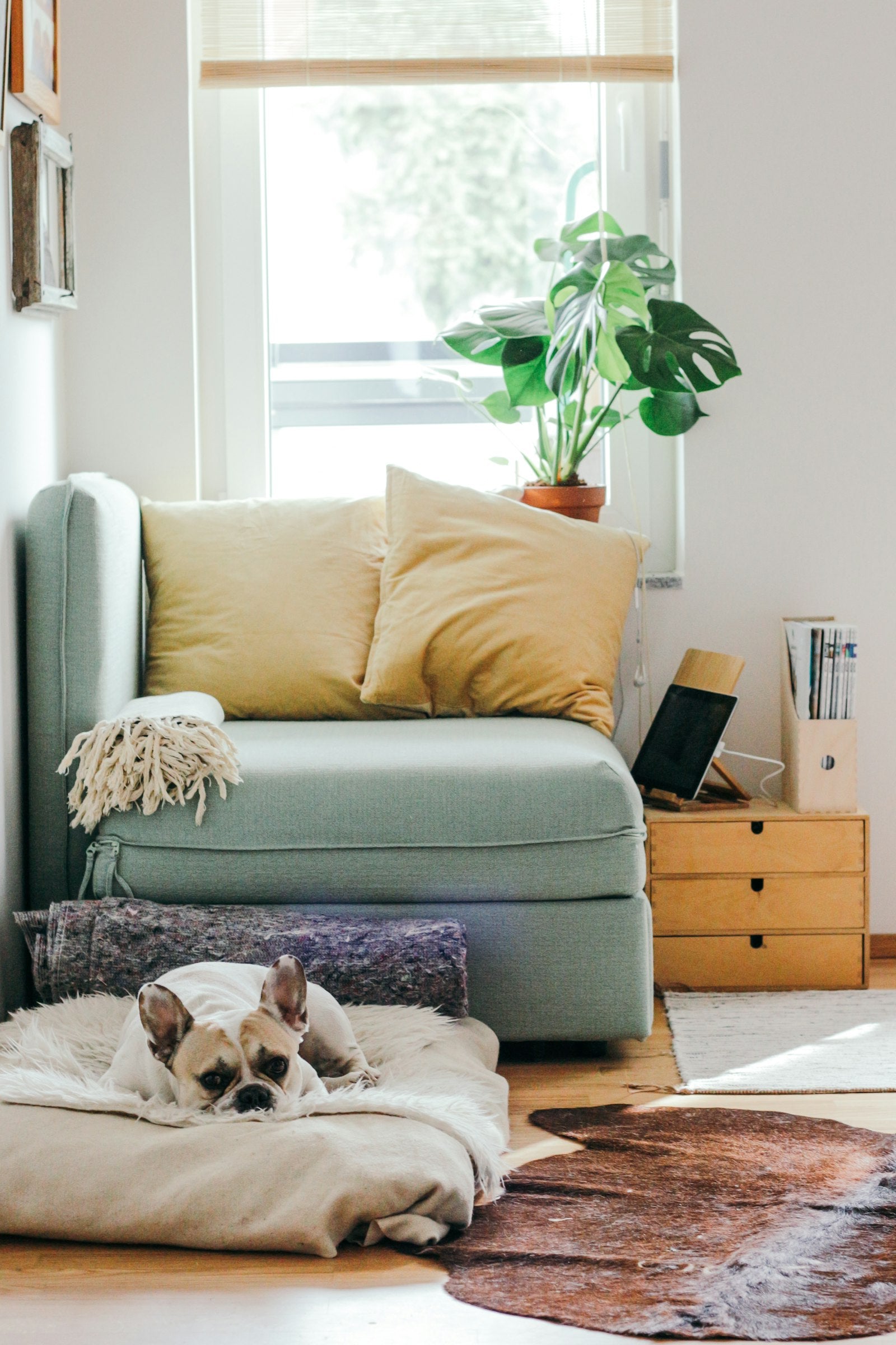 3 objects that transformed my living room (under $100)
