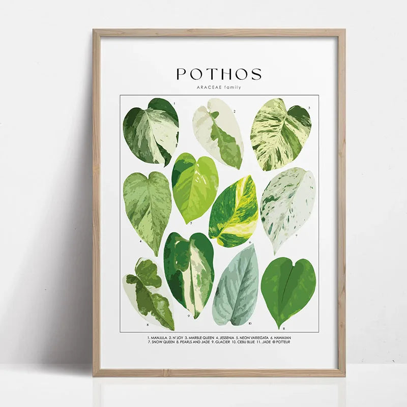 Green Botanical Canvas Art Print