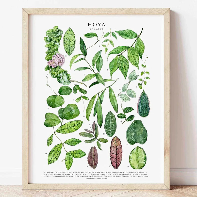 Green Botanical Canvas Art Print