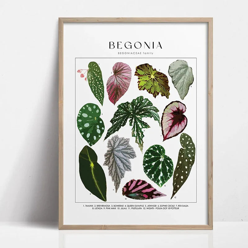 Green Botanical Canvas Art Print