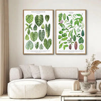 Green Botanical Canvas Art Print