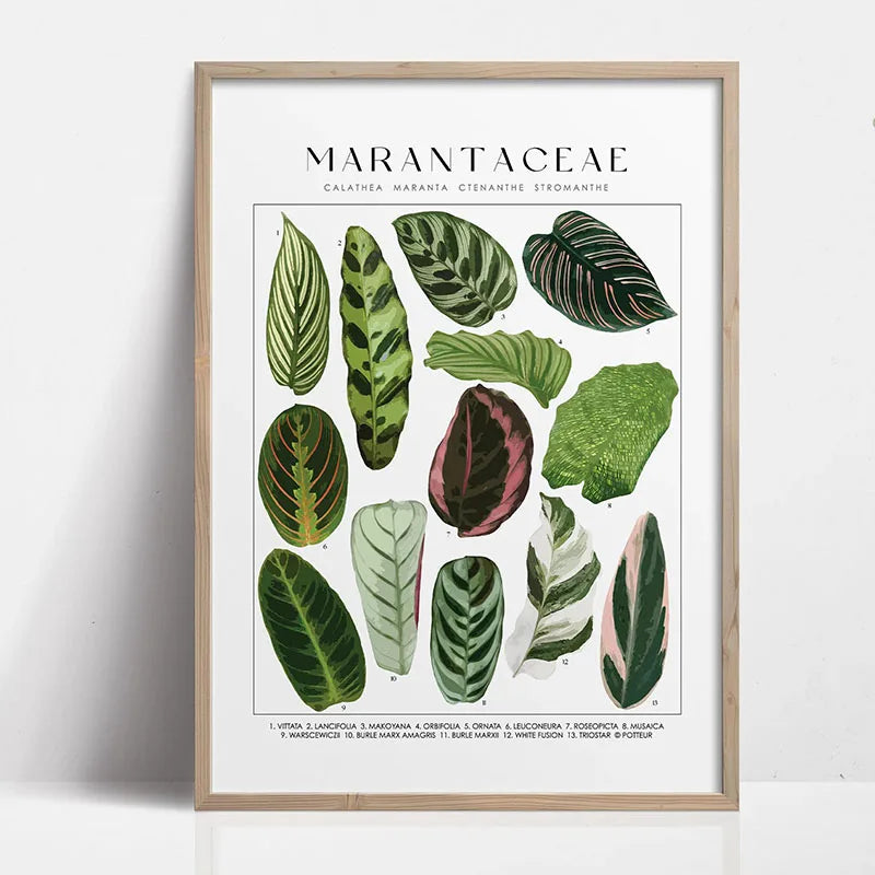 Green Botanical Canvas Art Print