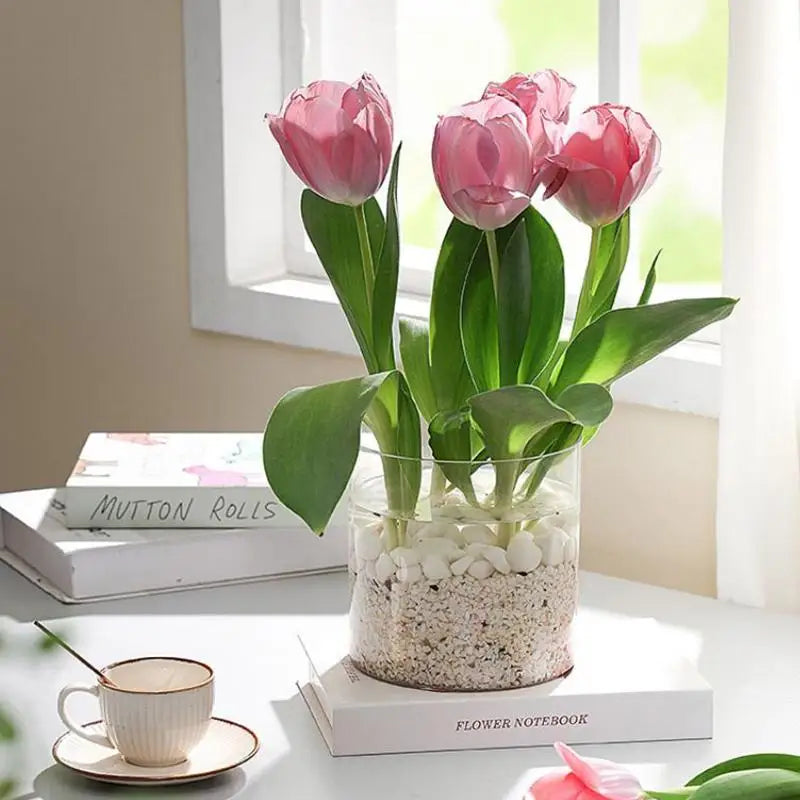 Clear Acrylic Plant Pot