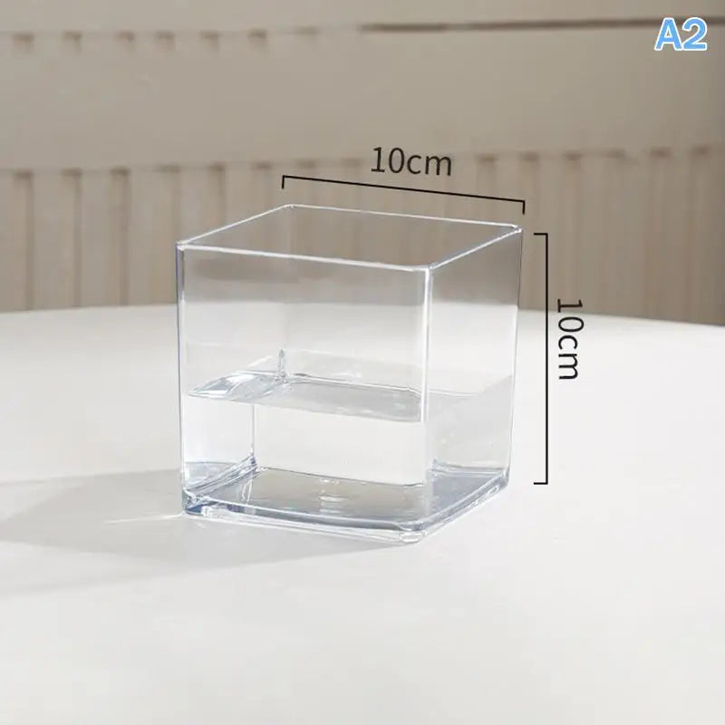 Clear Acrylic Plant Pot