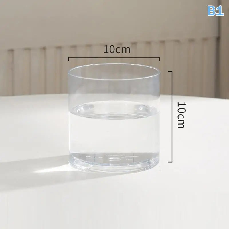 Clear Acrylic Plant Pot